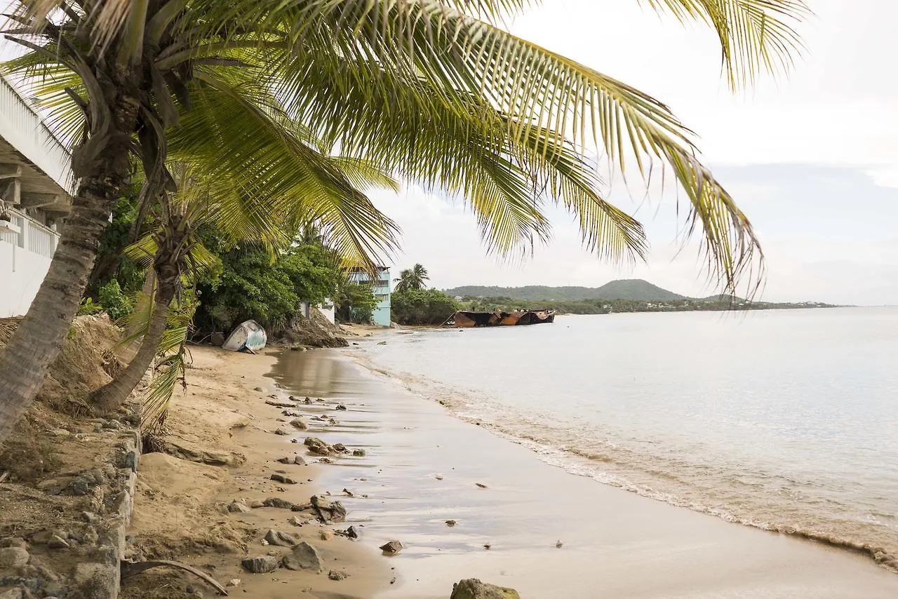 The Wave Hotel Vieques